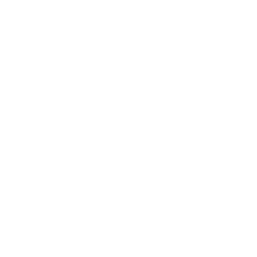 TwinCam Studios